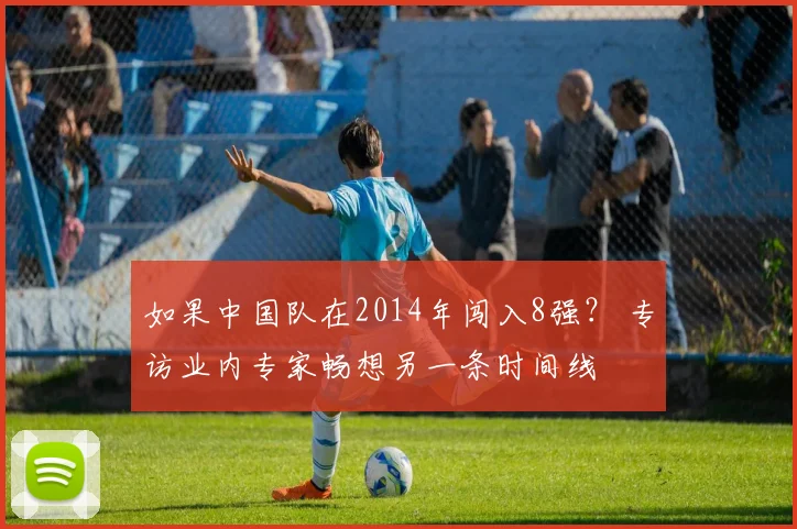 如果中国队在2014年闯入8强？ 专访业内专家畅想另一条时间线