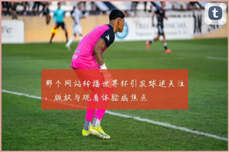 那个网站转播世界杯引发球迷关注，版权与观看体验成焦点