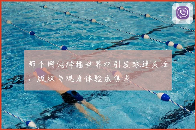 那个网站转播世界杯引发球迷关注,版权与观看体验成焦点