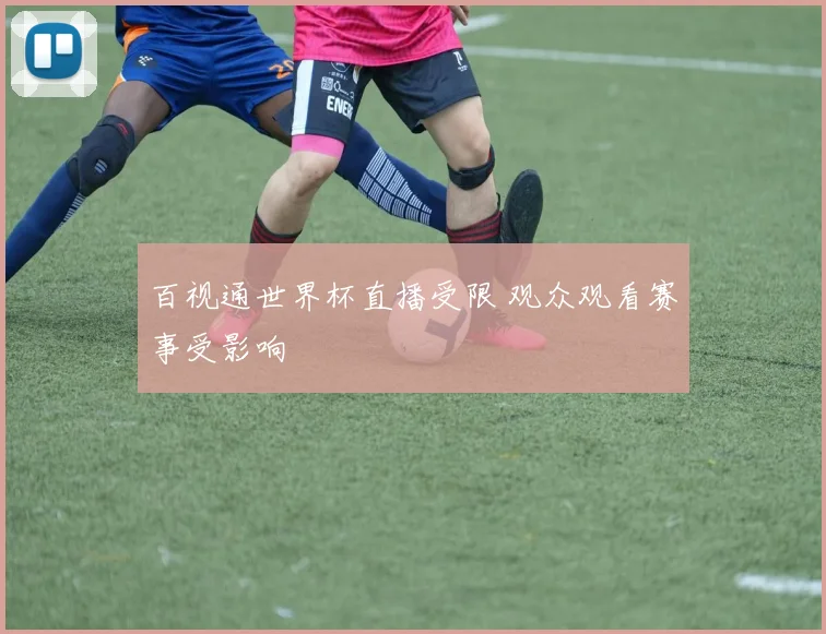 百视通世界杯直播受限 观众观看赛事受影响