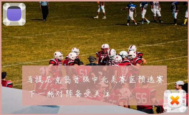 马提尼克岛晋级中北美赛区预选赛 下一轮对阵备受关注