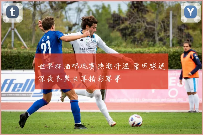 世界杯酒吧观赛热潮升温 莆田球迷深夜齐聚共享精彩赛事