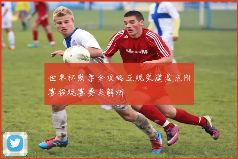 世界杯购票全攻略正规渠道盘点附赛程观赛要点解析