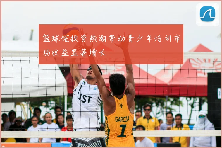篮球馆投资热潮带动青少年培训市场收益显著增长