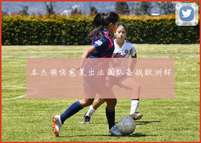 本杰明伤愈复出法国队备战欧洲杯