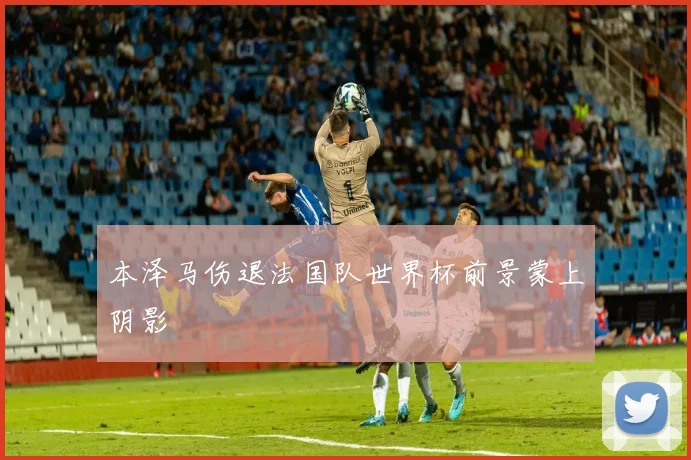 本泽马伤退法国队世界杯前景蒙上阴影