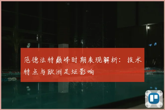 范德法特巅峰时期表现解析：技术特点与欧洲足坛影响